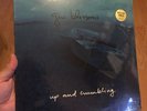 Gin Blossoms ?– Up And Crumbling 12