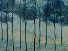 Camera Obscura - Desire Lines - LP Vinyl - New