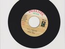 INTELITEC MUZIK/ IT'S A SHAME - WHITE MICE (87 DIGI ROOTS 7