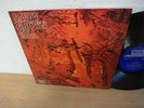 SAVOY BROWN Raw Sienna 1970 BLUES PSYCH (Spain) LP POKORA MINT