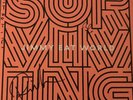 Jimmy Eat World - Surviving Signed Autographed Vinyl