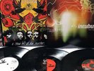 Incubus Make Yourself + A Crow Left Of The Murderer Vinyl Combo Deftones