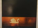 Van Morrison - Avalon Sunset / Polydor - 839 262-1 / 1989 12