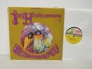 Jimi Hendrix Experience - Are You Experience   - Rock LP - 1st Press