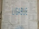 LIGABUE LP 33 GIRI VINILE USATO