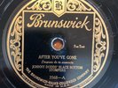 JOHNNY DODDS' BLACK BOTTOM STOMPERS After You've Gone BRUNSWICK 3568 10