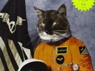 Klaxons - Surfing the Void (2010)