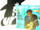 [CHUCK BERRY]-YOU NEVER CAN TELL-BRENDA [FUNCKLER NL AR 45.133] 1964 S.SERIES12