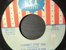 The Cherry Slush Dick Wagner Of Alice Cooper 45 Garage Mod Psych Fuzz Punk