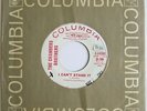 CHAMBERS BROTHERS: I Can't Stand It / Please Don't Leave Me - Columbia Promo VG+