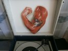Mental As Anything SHAPED Vinyl Single Picture Disc 