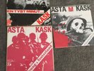 3 Asta Kask Punk Vinyl EP's