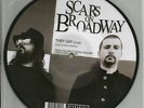System of a Down SCARS ON BROADWAY They Say LIMITED PICTURE DISC 7 INCH VINYL 45