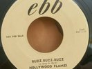 Hollywood Flames ebb 119 BUZZ-BUZZ-BUZZ (RARE DOO WOP PROMO 45) PLAYS GREAT
