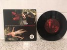 nick cave and the bad seeds + kylie minogue 7