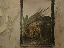 Led Zeppelin 4 iv Superhype Credit PLUM Porky Pecko Duck UK Vinyl LP