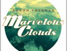 Aaron Freeman - Marvelous Clouds Vinyl LP **Rare, Sold Out**