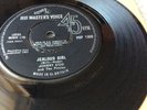 JOHNNY KIDD & THE PIRATES, JEALOUS GIRL  7