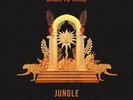 BACK TO MINE  JUNGLE 2LP - Inflo Drumtalk Sent Sameday*