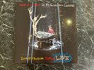 ALL MY FRIENDS WE'RE GLORIOUS - PANIC  AT THE DISCO LIVE ALBUM VINYL