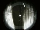 DOORS THE CRYSTAL SHIP X-RAY USSR VINYL RECORD MUSIC ON BONES ROENTGEN