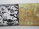 2x Dave Matthews Band LP albums - Big Whiskey, Come Tomorrow