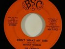 Beverly Wheeler & Cameros 