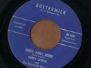 HARRY SNYDER & BUTTERMILK DRINKERS - Worry Worry - country 45  STATLER BROTHERS