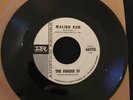 Fender IV-Malibu Run-Promo-Randy Holden-Garage Surf-Blue Cheer-Other Half-VG+