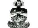 Flower Travelling Band - Satori LP 180 Gram Vinyl Album - Japanese Psych RECORD