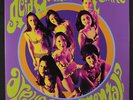 ACID MOTHERS TEMPLE: Are We Experimental? LP (LPs, blue splatter vinyl)