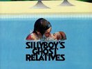 SILLYBOY'S GHOST RELATIVES - In A Small Place - Vinyl (LP)