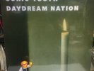 SONIC YOUTH - Daydream Nation - DOUBLE VINYL LP - NEW & SEALED DBL LP