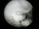 ZEPPELIN THANK YOU X-RAY USSR VINYL RECORD MUSIC ON BONES ROENTGEN