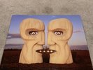 The Division Bell: Pink Floyd (2014 LP Vinyl In NM Condition)