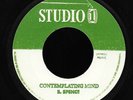 Barrington Spence - Contemplating Mind UK Studio 1 R.I. 7