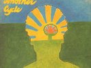 Jimmy Cliff Another Cycle GATEFOLD Island Records Vinyl LP