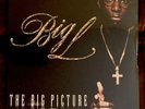 BIG L The Big Picture 2LP SEALED  Rawkus 2000 D.I.T.C 2Pac Kool G Rap Daddy Kane