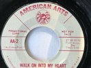 RARE SOUL FUNK 45 BOBBIE SMITH 