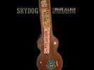 Duane Allman - Skydog Retrospective - 14LP Box SEALED Only 1000 #211