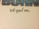 Burn last great sea 7” Blue Vinyl NYHC Revelation Records SXE Youth Of Today KBD