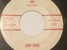 TEDDY REDELL Can't You See/Judy 45 Vaden rockabilly hear