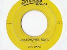 Link Davis ?-Sixteen Chicks / Grasshopper Rock- 7