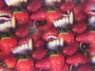 OH SEES-FLOATING COFFIN (US IMPORT) VINYL LP NEW