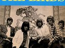 THE BIRDS The Birds LP . rhythm and blues ron wood rolling stones pretty things