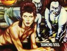 BOWIE, David - Diamond Dogs (remastered) - Vinyl (gatefold 180 gram vinyl LP)
