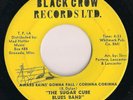 THE SUGAR CUBE BLUES BAND Rare 1967 Mississippi garage/psych 45rpm *AUTOGRAPHED*
