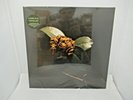 St. Paul & The Broken Bones Young Sick Camellia New Vinyl Record LP