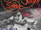 Sonic Youth Evol - LP Mint (Sealed) / Mint