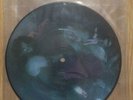 Venom  Die Hard Picture Disc ( USA ) 7